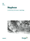 Nephron