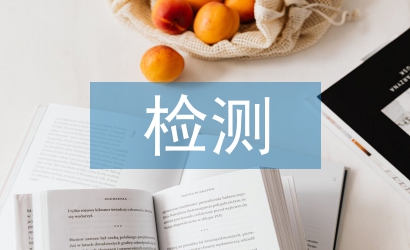 檢測系統(tǒng)論文